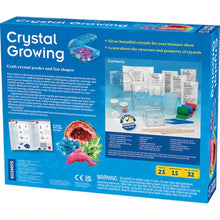 Load image into Gallery viewer, Crystal Growing