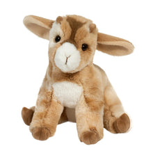 Load image into Gallery viewer, Douglas - Dandie- Soft Goat