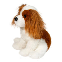 Load image into Gallery viewer, Douglas King Charles Cavalier Spaniel- Kingsley