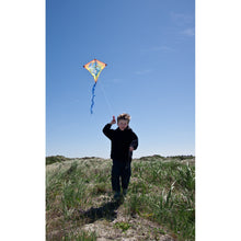 Load image into Gallery viewer, Dragon Kite