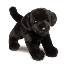 Load image into Gallery viewer, Chester The Black Lab