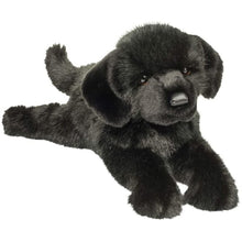 Load image into Gallery viewer, Douglas Jake The Black Lab