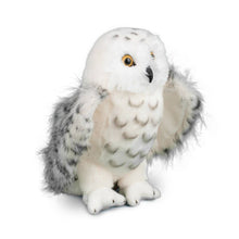 Load image into Gallery viewer, Douglas Legend Snowy Owl