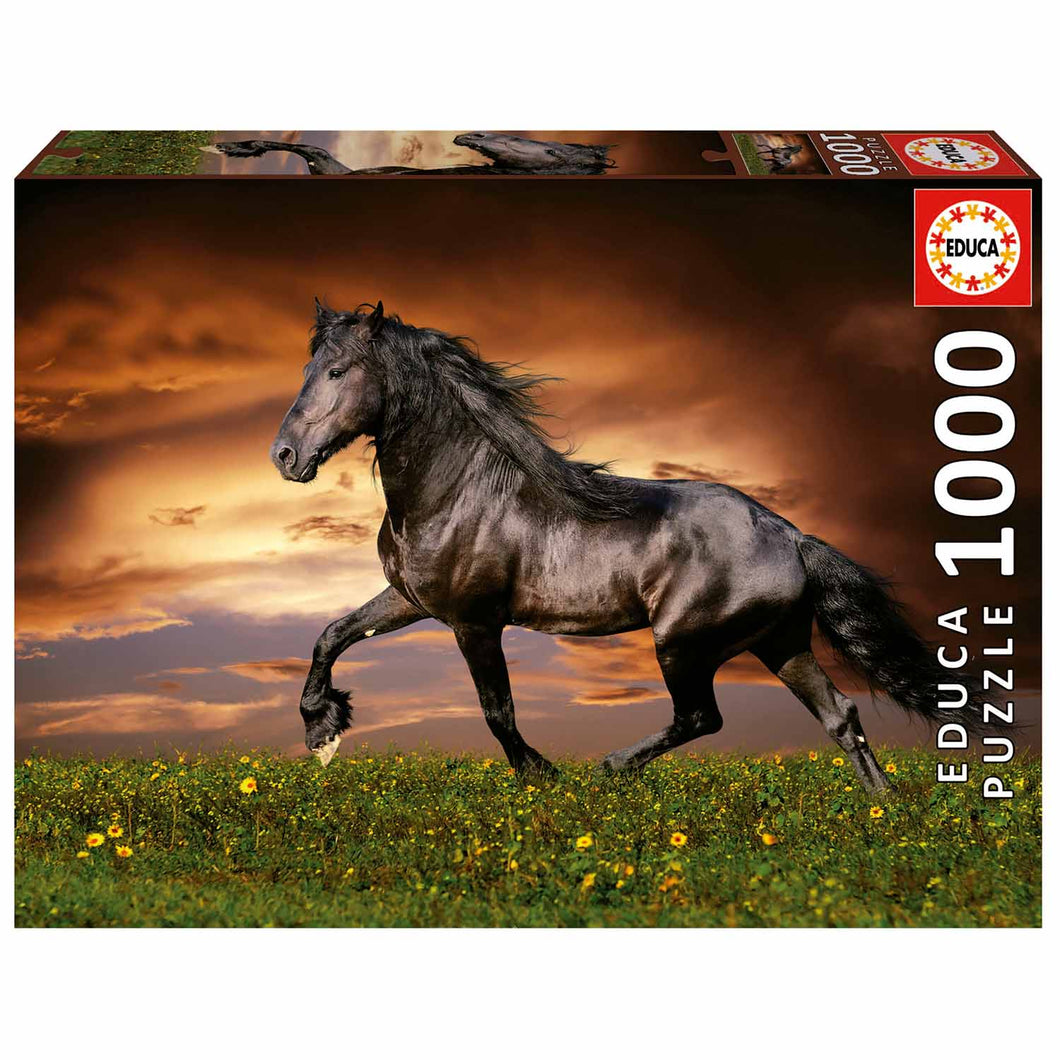 Educa 1000 Piece Puzzle- Trotting Horse