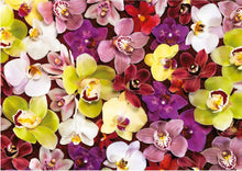 Load image into Gallery viewer, Educa 1000 Piece Puzzle- Orchid Collage
