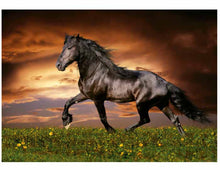 Load image into Gallery viewer, Educa 1000 Piece Puzzle- Trotting Horse
