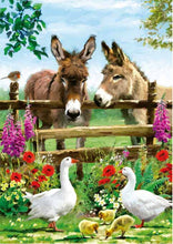 Load image into Gallery viewer, Educa 500 Piece Puzzle- Donkeys
