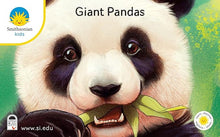 Load image into Gallery viewer, Smithsonian Kids- Panda
