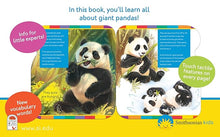 Load image into Gallery viewer, Smithsonian Kids- Panda
