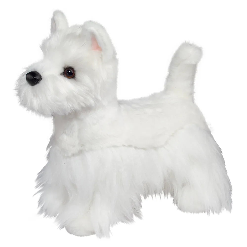 Westie- Romeo