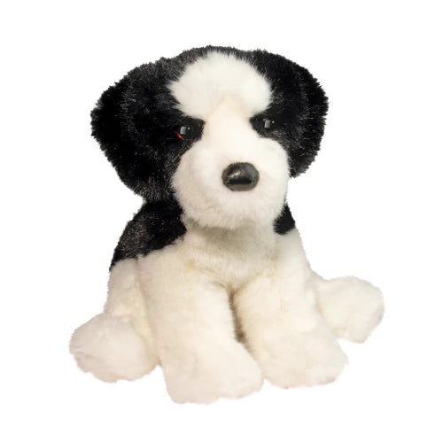 Teefer The Shih Tzu – Nuts For Candy & Toys