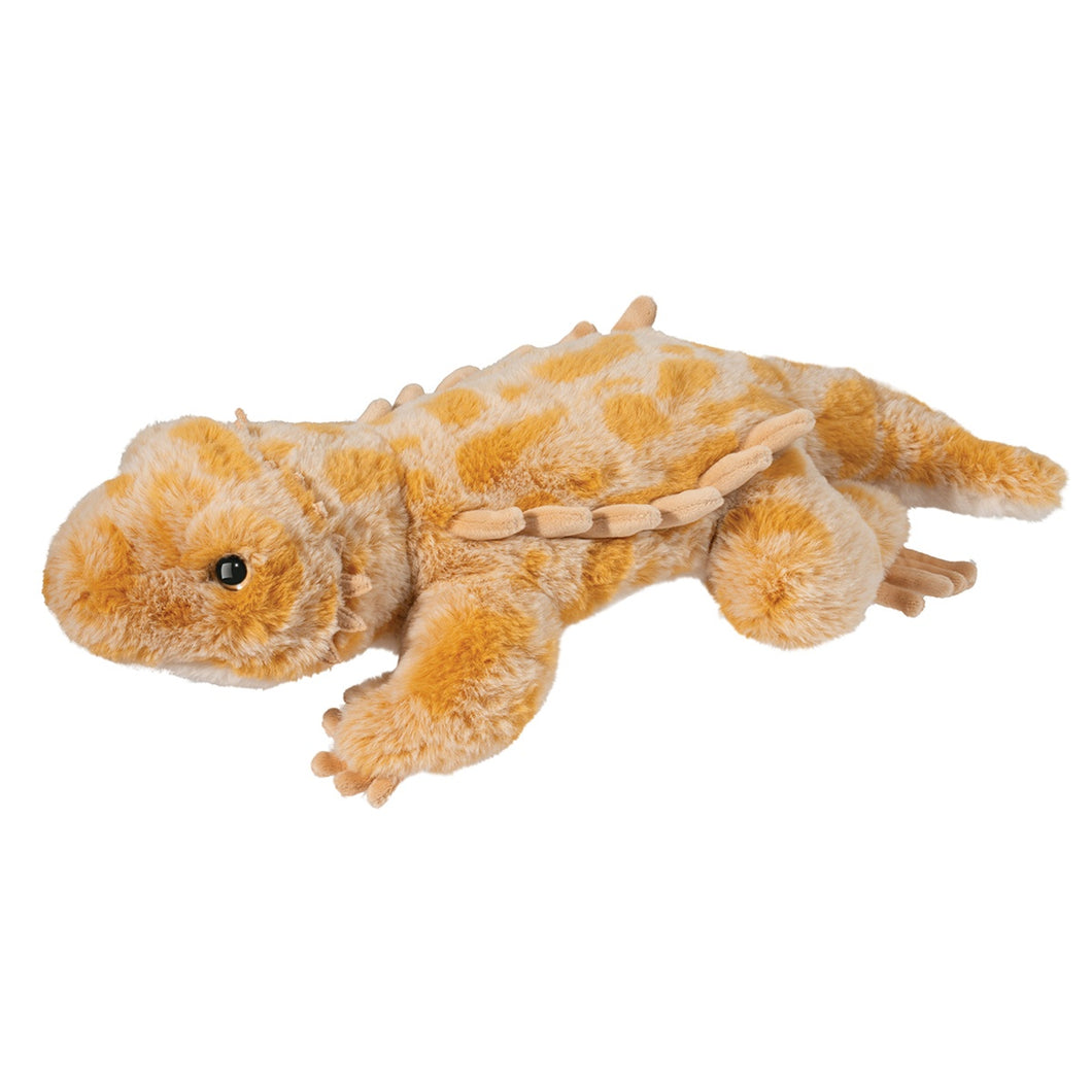 Douglas- Boogie- Soft Bearded Dragon