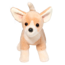 Load image into Gallery viewer, Douglas- Chichi- Chihuahua
