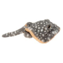 Load image into Gallery viewer, Douglas- Stella- Stingray
