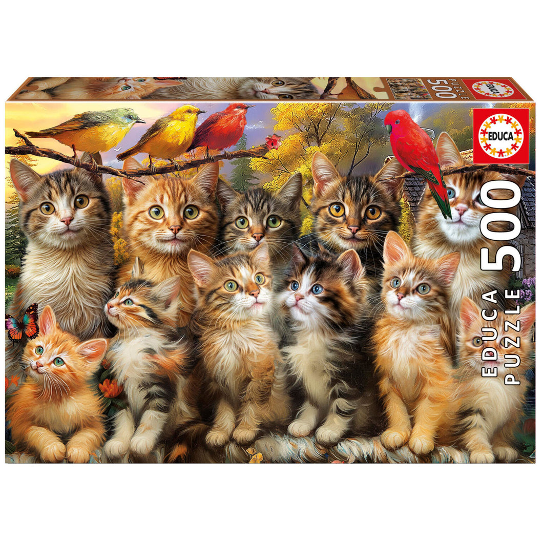 Educa 500 Piece Puzzle- Kittens and Birds