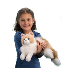 Load image into Gallery viewer, Douglas - Kiki the Ragdoll Cat
