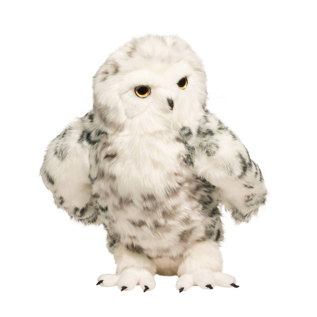 Shimmer- Snowy Owl