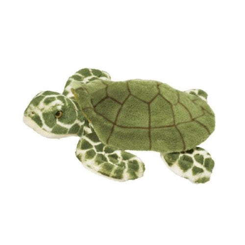 Douglas - Toti the Turtle