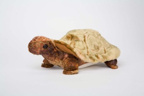 Douglas - Speedy the Tortoise