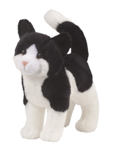 Douglas - Scooter the Black and White Cat