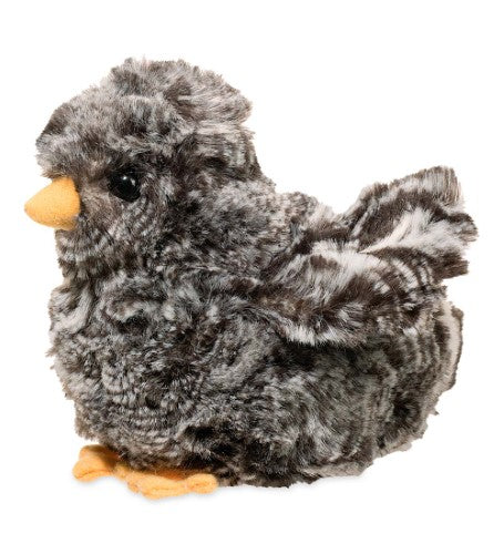 Douglas - Chick
