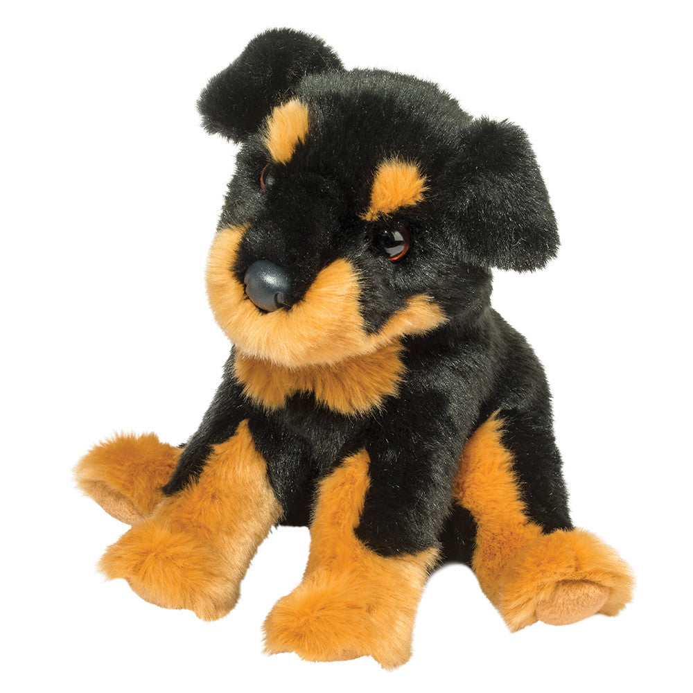 Douglas - Rocky Rottweiler