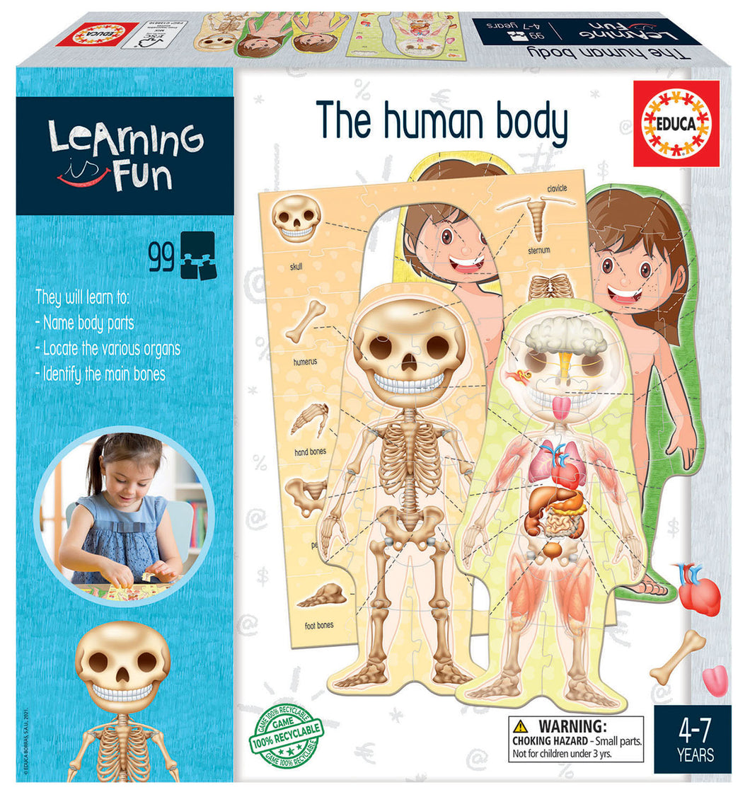 Learning Fun- Human Body