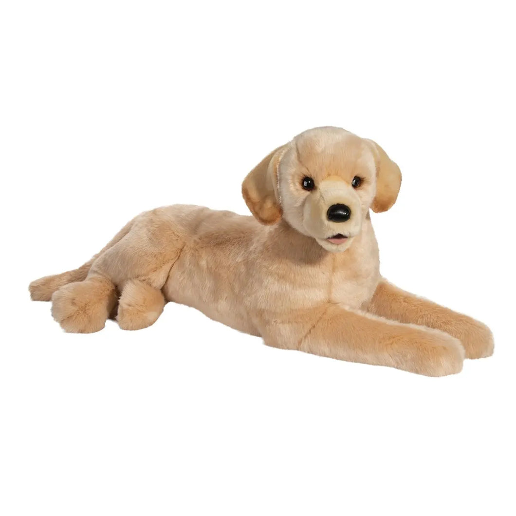 Douglas Yellow Lab- Sadie