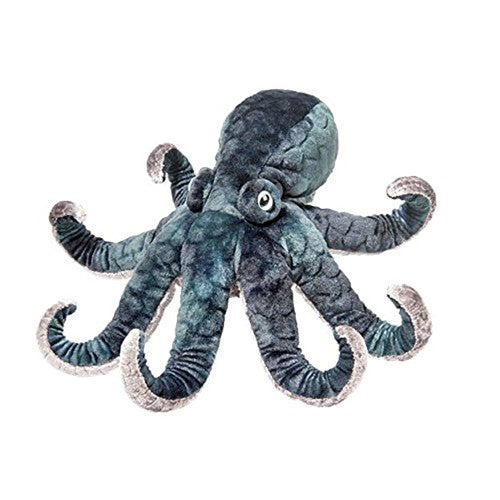 Douglas - Winky the Octopus