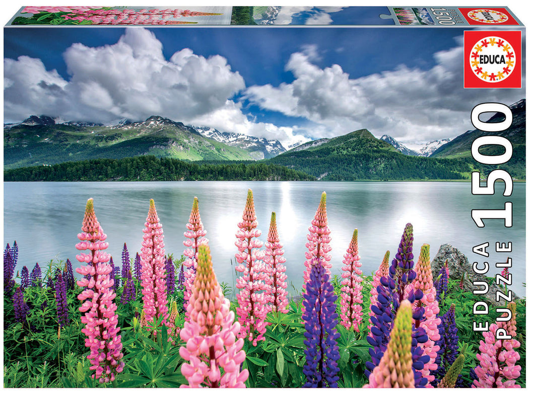 Educa Puzzle: Lupins On The Shores of Lake Sils, Switzerland