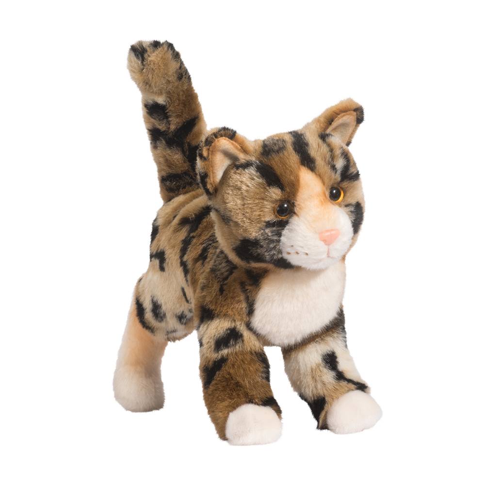 Douglas Bengal Cat- Tashette