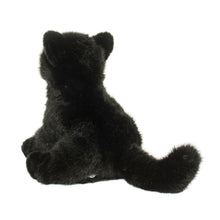 Load image into Gallery viewer, Douglas Salem Black Cat
