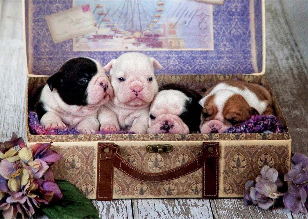 Educa 500 Piece Puzzle-  Puppies