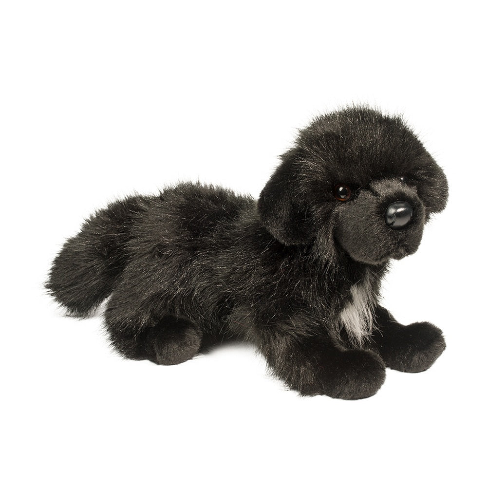 Douglas Bundy The Newfoundland
