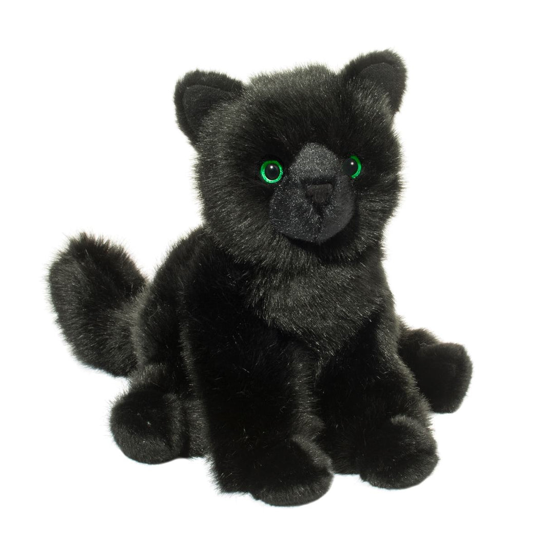 Douglas Salem Black Cat