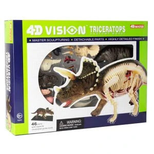 4D Triceratops Anatomy Model