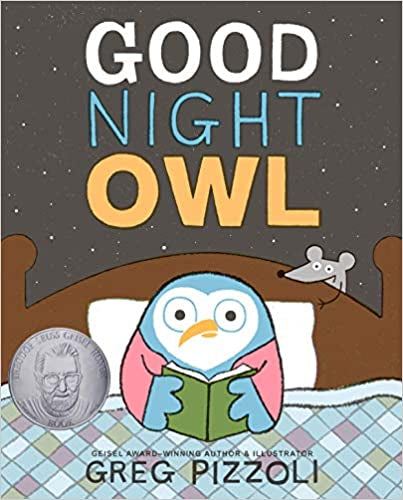Good Night Owl Book