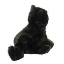 Load image into Gallery viewer, Douglas Salem Black Cat
