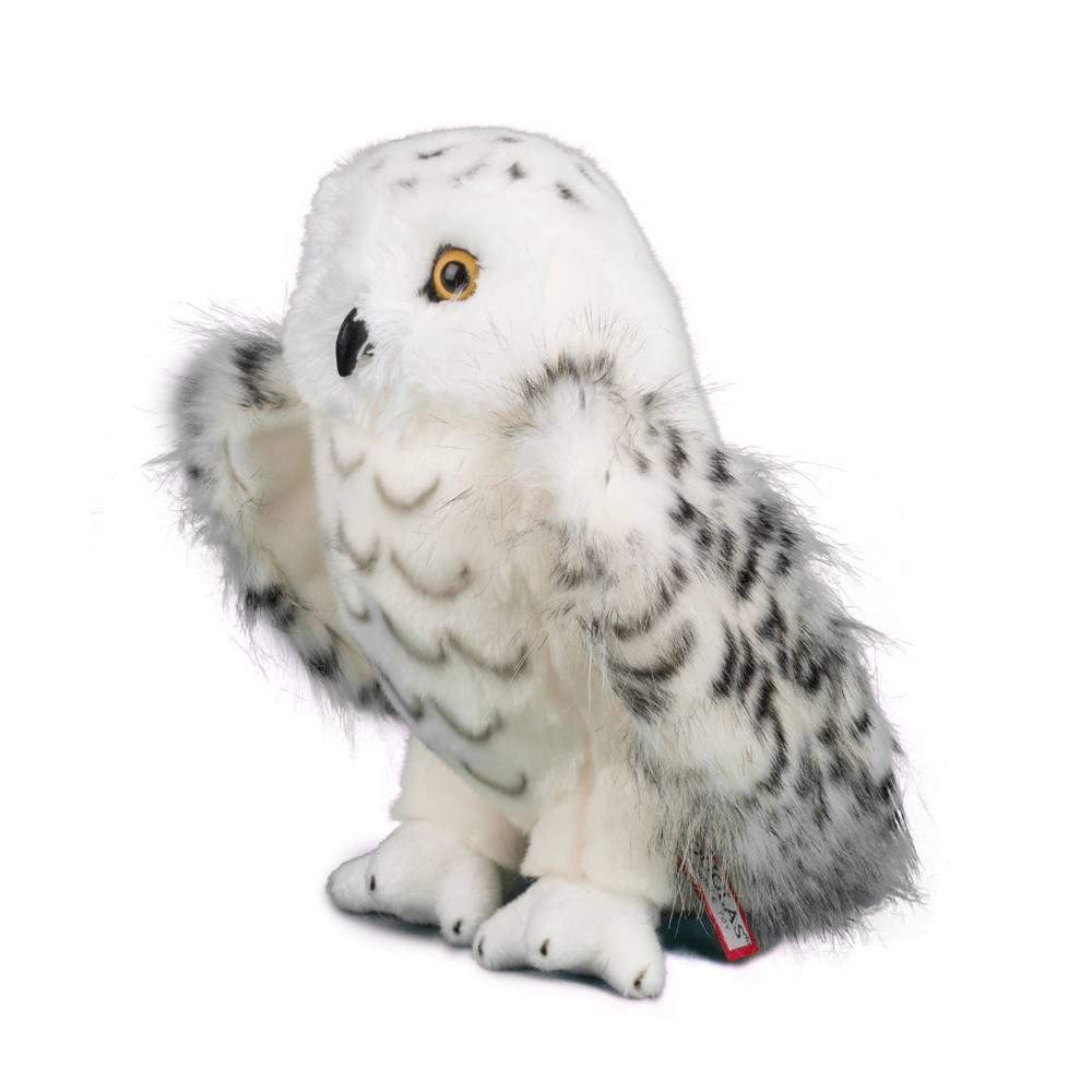 Douglas Legend Snowy Owl