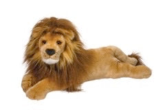 Douglas Zeus The Lion