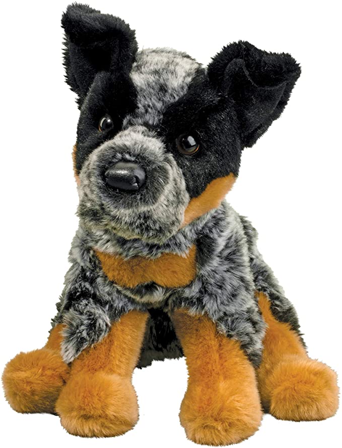 Douglas- Australian Cattle Dog- Dexter