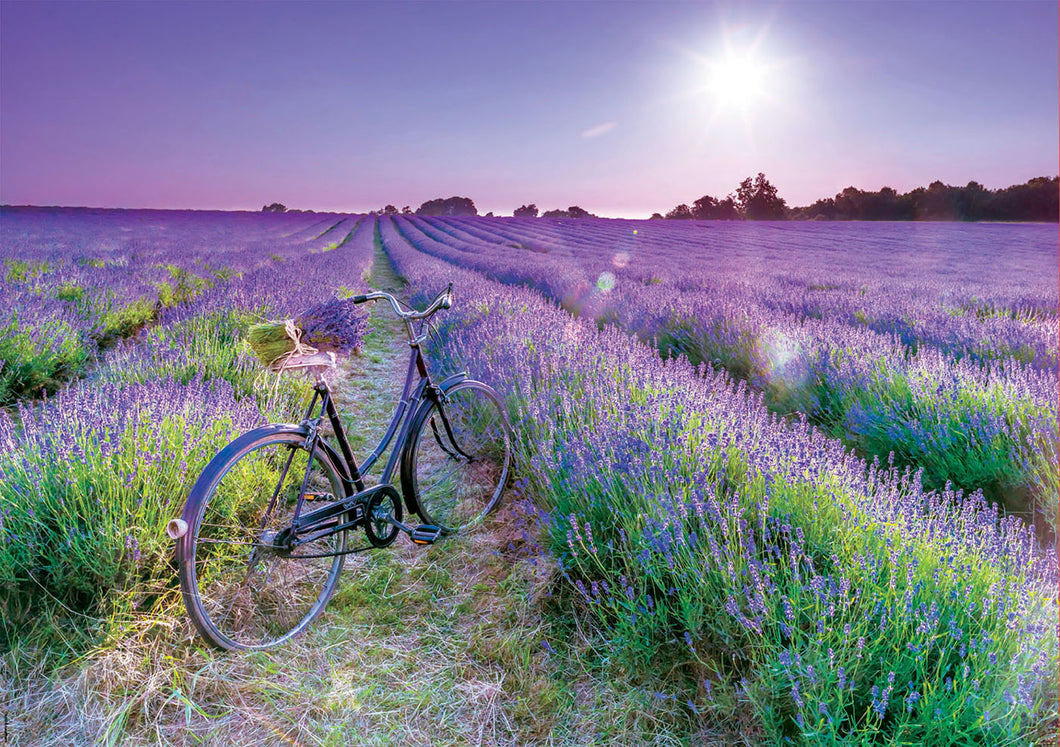 Educa 1000 Piece Puzzle- Bike In A Lavender Field