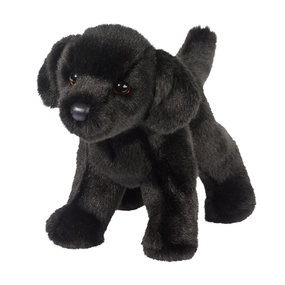Douglas Black Lab