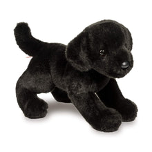 Load image into Gallery viewer, Chester The Black Lab
