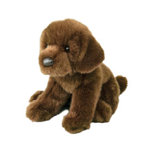 Load image into Gallery viewer, Douglas Java Chocolate Lab
