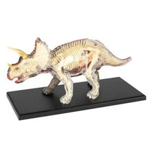 Load image into Gallery viewer, 4D Triceratops Anatomy Model
