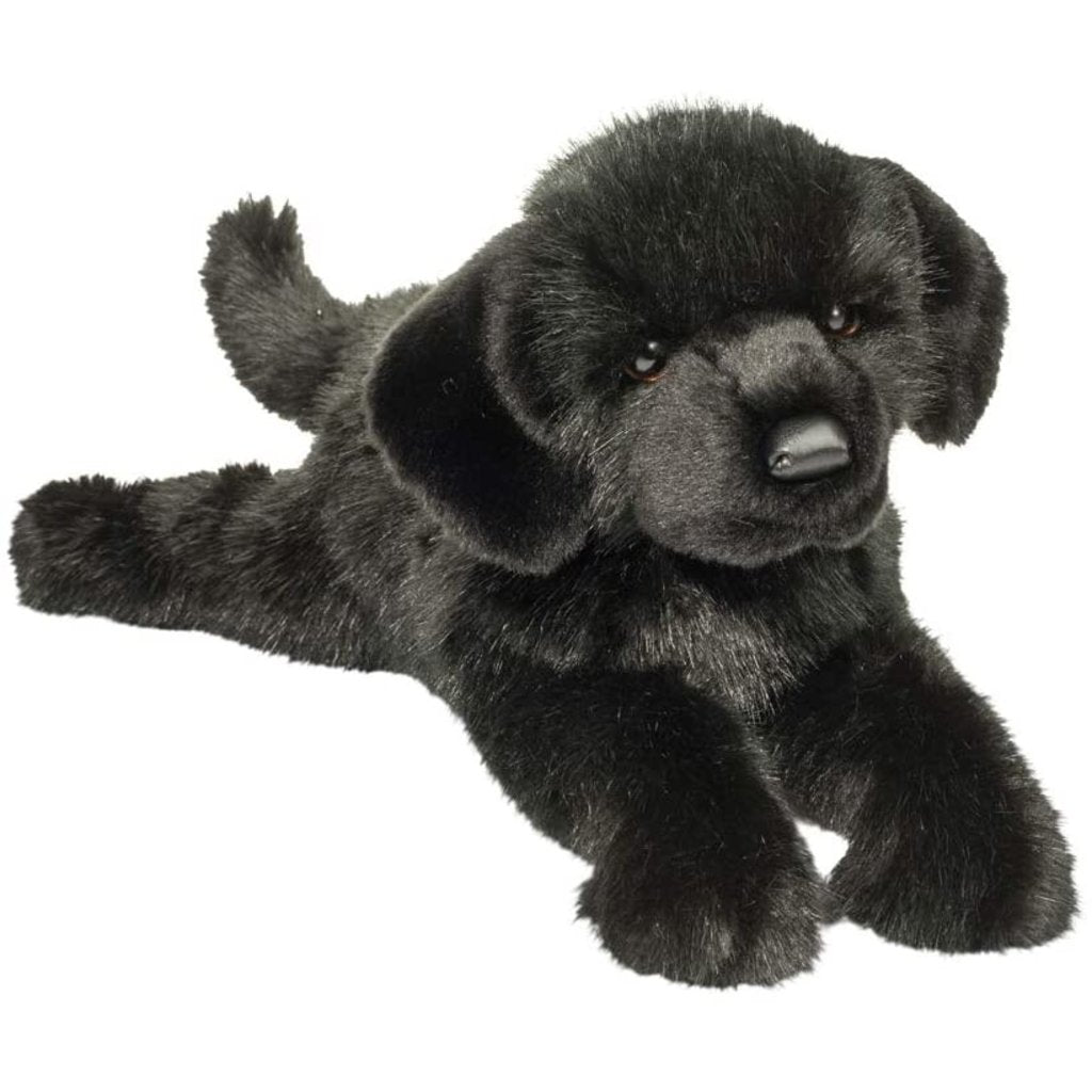 Douglas Jake The Black Lab