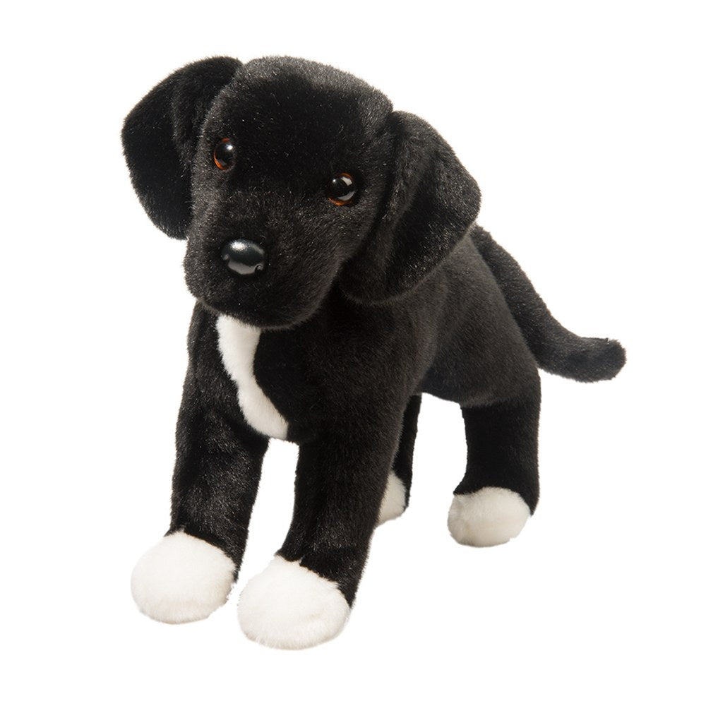 Twister The Black Lab/Pit Bull Mix