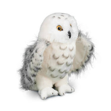 Load image into Gallery viewer, Douglas Legend Snowy Owl
