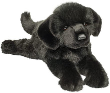 Load image into Gallery viewer, Douglas Jake The Black Lab
